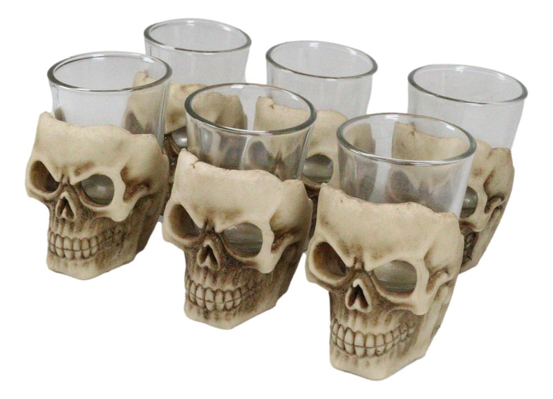 Ebros Grinning Skull Shot Glass Set of 6 Altar of Skulls Skeleton Ossuary Skull