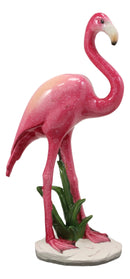 Ebros Tropical Rainforest Paradise Pink Flamingo Bird Decorative Statue 8"H