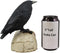 Ebros Gothic Raven Perching On Skull Statue 7.25" High Crow Scavenger Figurine