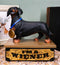 Award Trophy Dachshund Puppy Dog With Gold Medal Standing On Stage Figurine