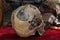 Steampunk Machine Dark Light Nude Colored Closed Mouth Skull Figurine 7.25"L