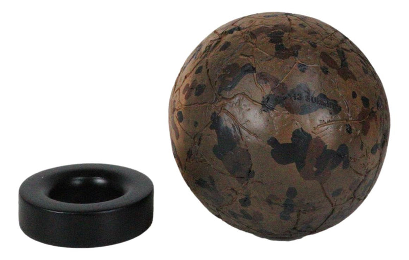 Prehistoric Speckled Dragon Egg Fossil Statue With Base Stand Jurassic Dinosaur