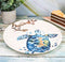 Ebros Blue And White Sea Turtle Ceramic Dinnerware (Salad Appetizer Plate, 1)