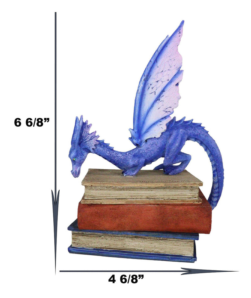 Amy Brown Fantasy Midnight Blue Book Dragon Of Bibliography Figurine Magic Decor