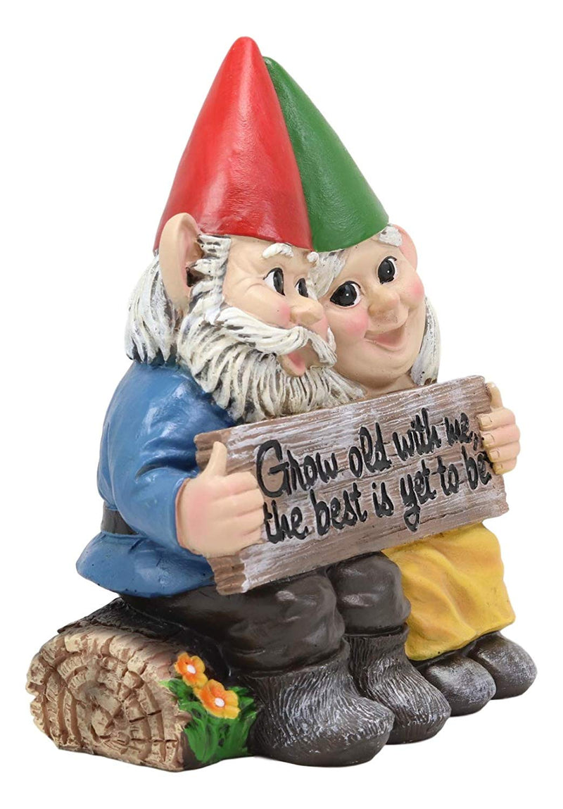 Ebros Grow Old With Me The Best Is Yet To Be Whimsical Mr & Mrs Gnome Statue