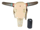 Ebros Large Navajo Native Spirit Dreamcatcher Buffalo Bull Cow Skull Head Wall Decor