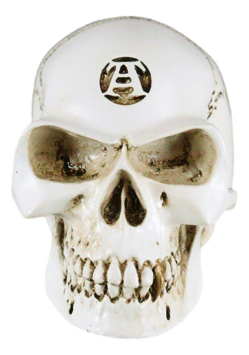 Vault Alchemist Bone Philosophus Magnus Skull Gear Shift Knob Or Paperweight