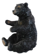 Rustic Cabin Lodge Decorative Sitting Black Bear Wine Bottle Holder Figurine