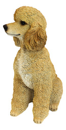 Large Realistic Groomed Brown Poodle Statue 18.5"H Animal Pet Pal Poodles Dog