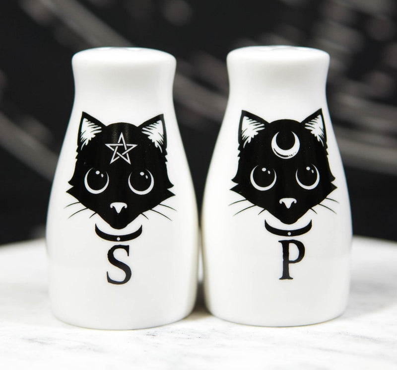 Wicca Magic Sacred Cats Pentacle Crescent Moon Ceramic Salt n Pepper Shakers Set