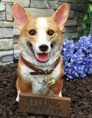 Ebros Realistic Pembroke Welsh Corgi Dog Statue 13"L With Jingle Collar Greeting Sign