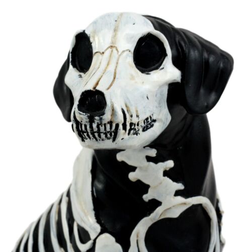 Day Of The Dead Bone Skeleton Dog Statue 7.5"H X-Ray Canine Skeleton Anatomy