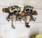 Forest Rustic 2 Playful Raccoons Dangling On Tree Branch 6 Pegs Wall Hook Decor