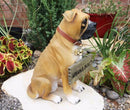 Ebros Large Adorable Fawn Boxer Garden Greeter Statue With Jingle Collar 13.25" Tall