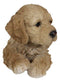 Realistic Adorable Cockapoo Spoodle Puppy Dog Lying On Belly Figurine Pet Pal