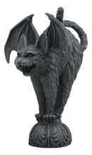Bizarre Gothic Bat Winged Vampire Cat Gargoyle Statue 7"H Stoic Feline Guardian