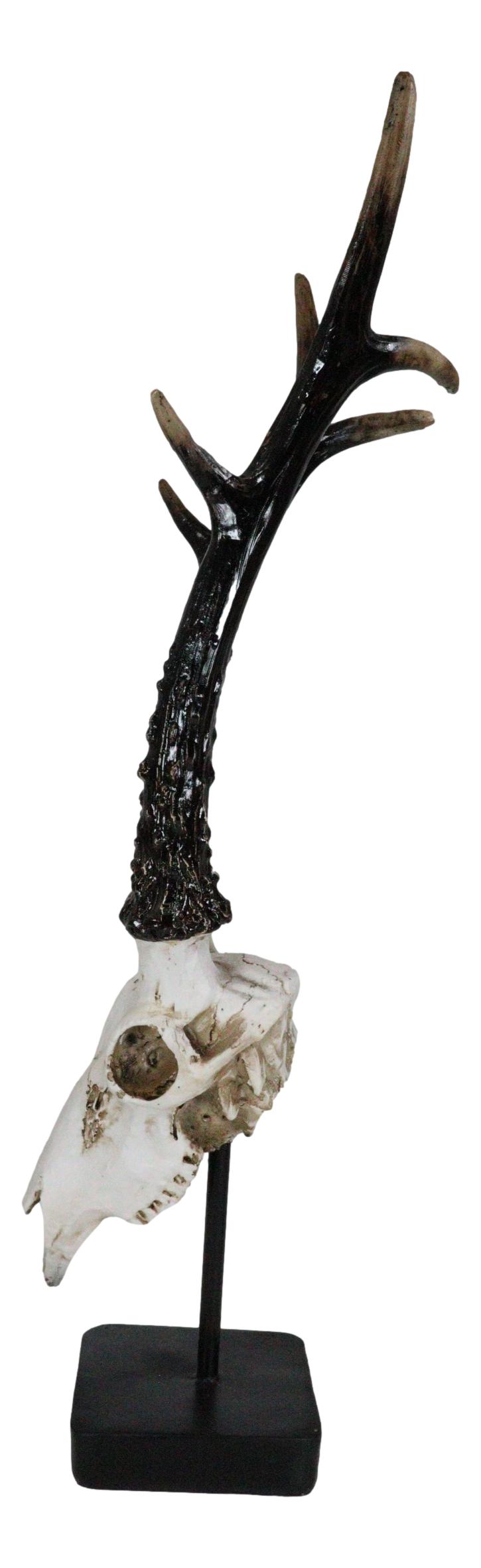 Large 19"H Rustic African Gazelle Antelope Bust Head Sculpture With Trophy Base