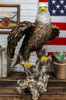 Realistic American Pride Patriotic Bald Eagle Perching On Wood Stock Statue 17"H