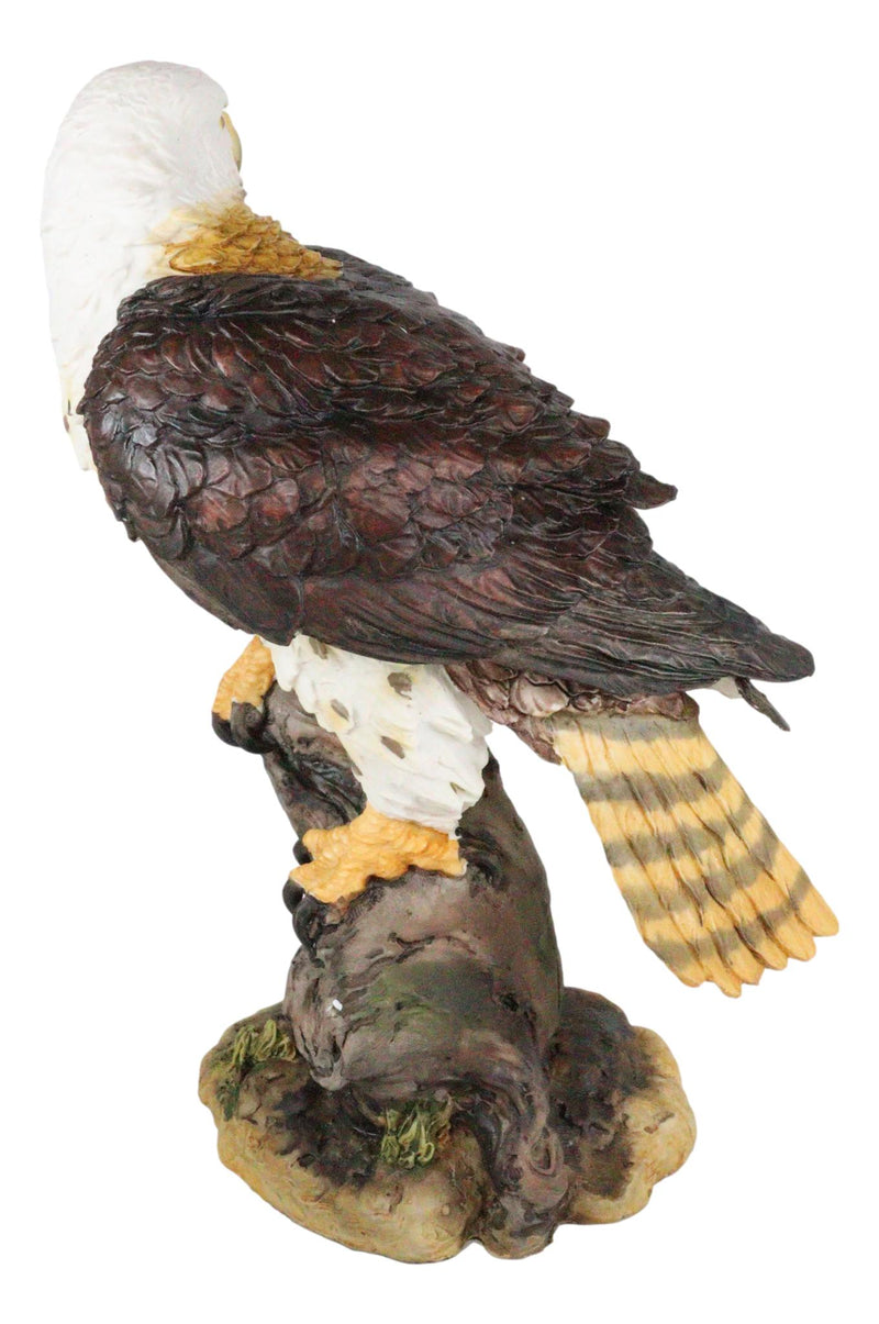 Ebros Wildlife Red Tailed Hawk On Tree Stump Statue Birds Of Prey Figurine 10"H