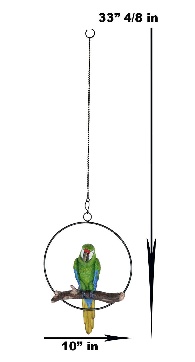 Hanging Military Macaw Parrot Perching on Branch in Metal Round Ring 13.5"H