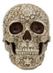 Ebros Natural Antique Skull Bone Floral Skull Statue 8"L Day Of The Dead Decor