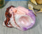 Under The Sea Purple Tailed Mermaid Hugging Giant Sconce Shell Figurine 4.75"L