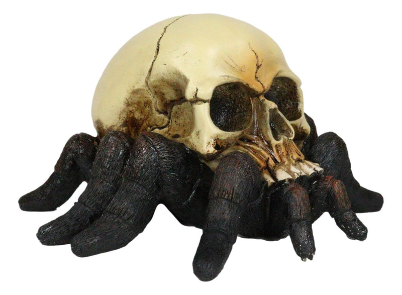 Creepy Crawler Tarantula Arachnid Skulltula Spider Bizarre Skull Figurine Decor