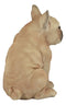Large Lifelike Realistic French Bulldog Statue With Glass Eyes 15.75"H Frenchie