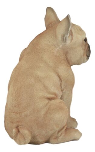 Large Lifelike Realistic French Bulldog Statue With Glass Eyes 15.75"H Frenchie