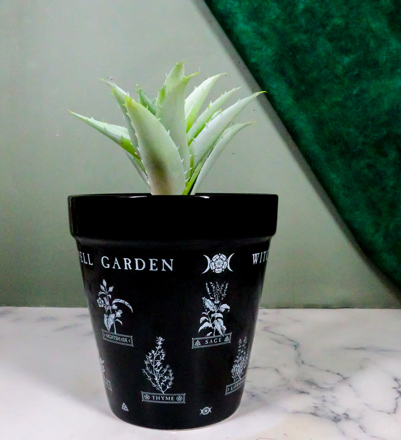 indoor plants for witches Witches Spell Herbs Garden Triple Moon Wicca Witch Flower Herbs Plante– Ebros Gift