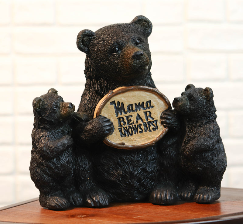Whimsical Black Bears Mother With Cubs Holding Mama Bear Knows