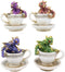 Ebros Metallic Baby Wyrmling Dragons in Tea Cups with Saucers Figurine Set 4.5"H