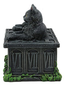 Ebros Black Cat with Pentacle Necklace Fortune's Watcher Tarot Card Deck Holder Jewelry Box Figurine with Major Arcana Numbers Home Decor Statue of Mystical Feline Cats Wicca Witchcraft Talisman