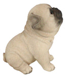 Ebros Adorable Begging Face Fawn Pug Puppy Dog Figurine Pet Pal Pugsy