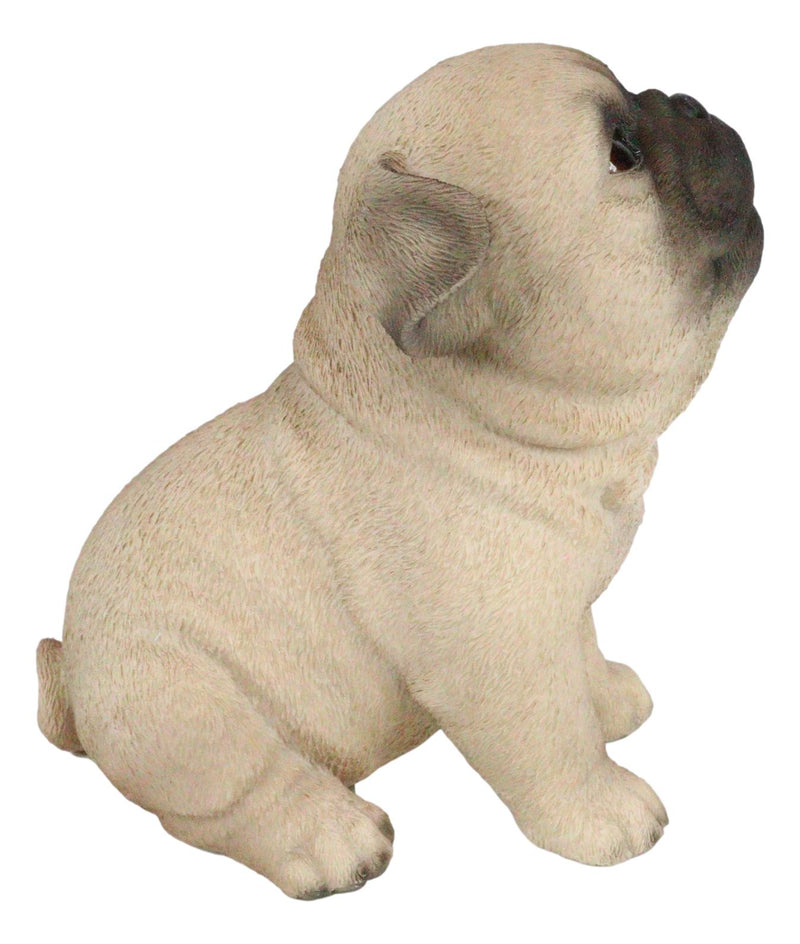 Ebros Adorable Begging Face Fawn Pug Puppy Dog Figurine Pet Pal Pugsy