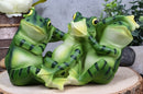 Ebros Whimsical Funny See Hear and Speak No Evil Trio Amphibian Frogs Figurine