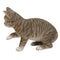 Ebros Lifelike Pawing Grey Tabby Cat Statue 13.75"Long With Glass Eyes Hand Painted Realistic Feline Cat Figurine