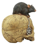 Paranormal Pentagram Colonial Witch Map Salem Skull And Mouse Jewelry Box Statue