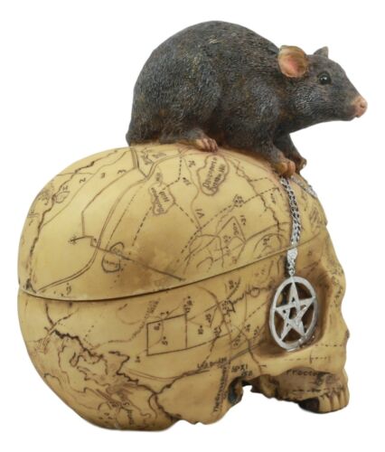 Paranormal Pentagram Colonial Witch Map Salem Skull And Mouse Jewelry Box Statue
