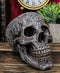 Mesoamerican Maya Aztec Skull Statue 5"Tall Tribal Tattoo Mexica Pantheon Gods