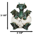 Small Green Whimsical Dragon Baby Hatchling In Egg Statue Fantasy Dragon Egg