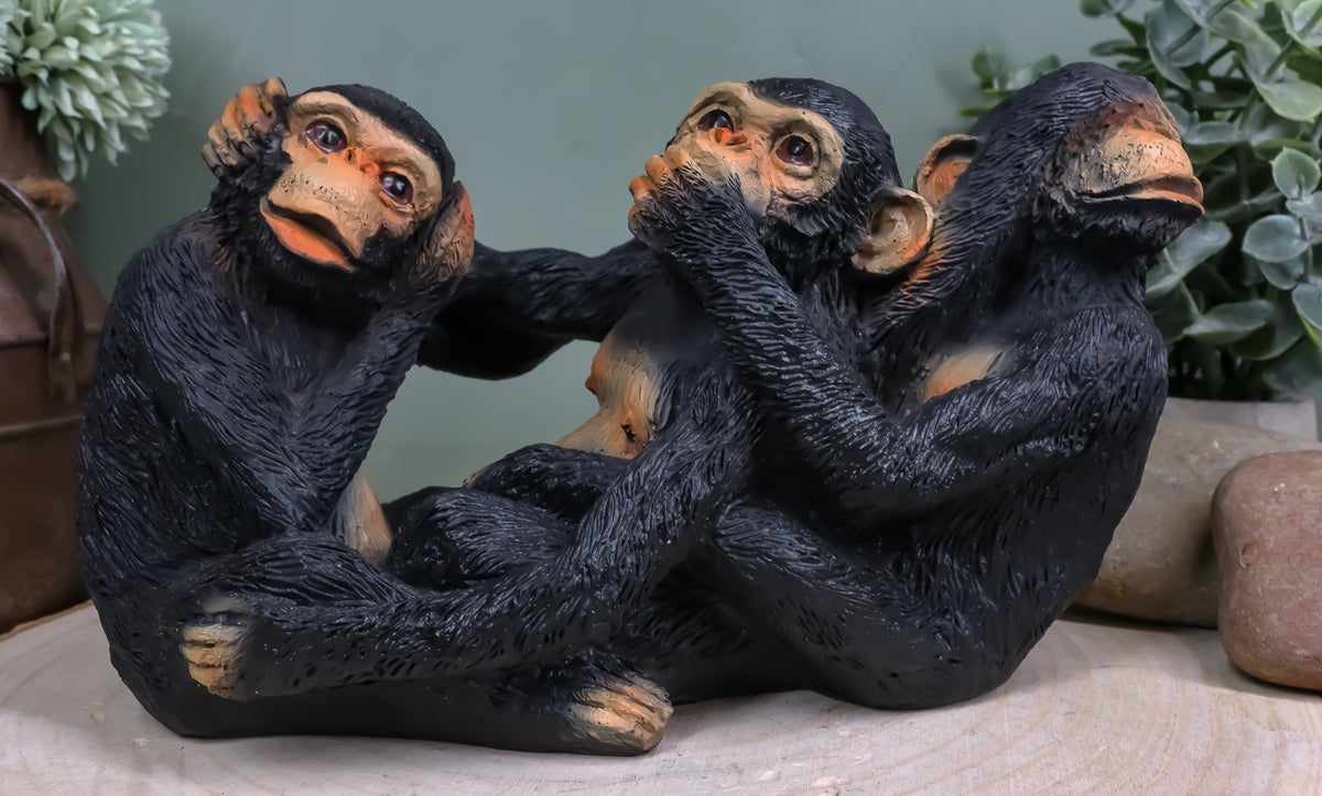Jungle Rainforest Whimsical See Hear Speak No Evil Monkeys 3 Wise Apes Figurine