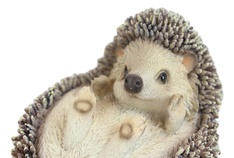 Lifelike Realistic Spinal Mammal Baby Hedgehog Lying On Back Decorative Figurine