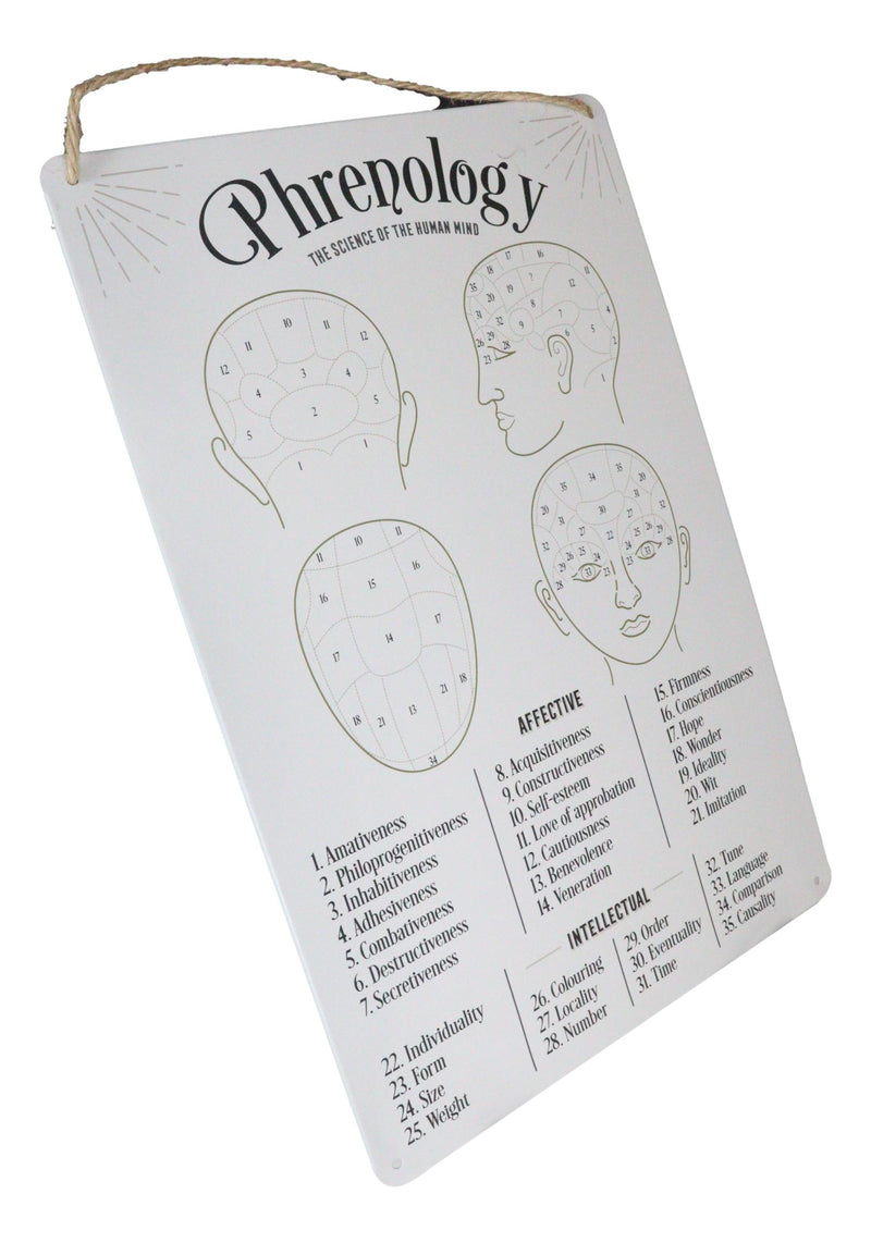 Gothic Wicca Phrenology Alternative Science Of Human Mind Metal Wall Sign Decor