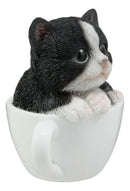 Ebros Lifelike Tuxedo Black and White Cat Teacup Pet Pal Statue 3" Tall Kitten Kitty with Glass Eyes Decor Figurine