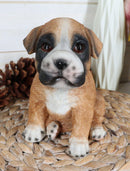 Lifelike Fawn Boxer Puppy Dog Sitting Figurine Pet Pal Pedigree Dogs Canine