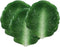Ebros 10"L Ceramic Fresh Hearty Collard Green Leaf Shaped Serving Plate SET OF 3 - Ebros Gift