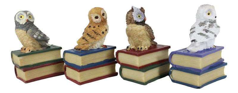 Wisdom Of The Forest Bibliography Owls Sitting On Books Figurine Owl Set Decors