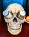 Ebros Scary Ossuary Human Skull Salt Pepper Shakers Holder Figurine 5.75" H