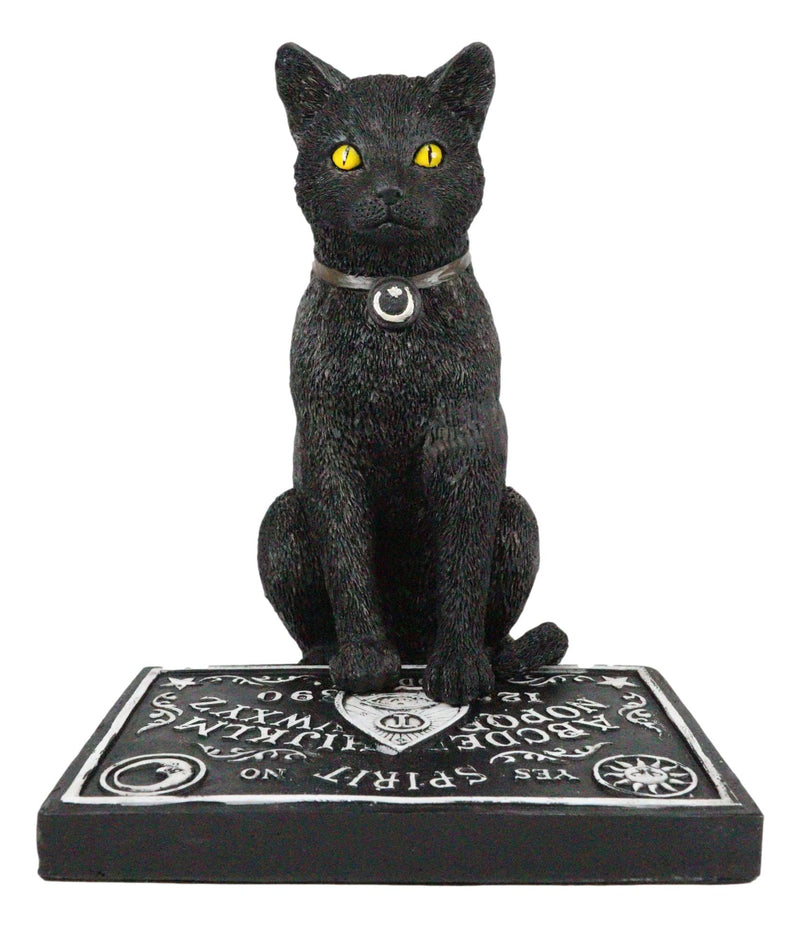邦楽 BLACK CATS 40th HARAJUKU BIBLE 大人気新作 BLACK CATS 40th ANNIVERSARY - メルカリ 邦楽 - 邦楽